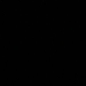 Meet your Posher, Hallee